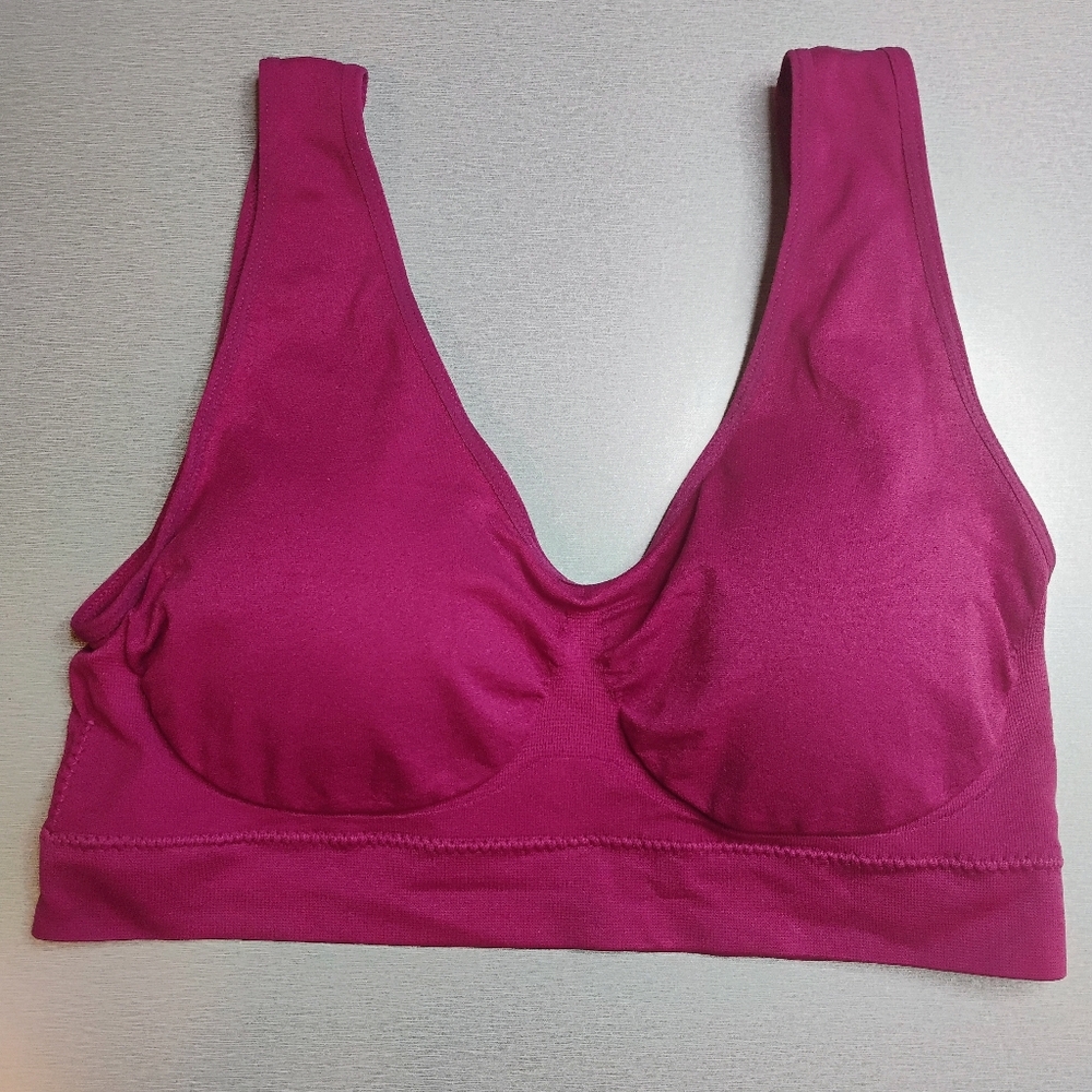 Fitwell Bra 2X